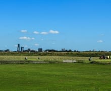 Fries Sociaal Planbureau zoekt nieuwe panelleden