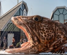 LF2018 gewaardeerd met 6,8