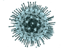 Gevolgen coronacrisis voor Friezen? – nieuwe vragenlijst Panel Fryslân