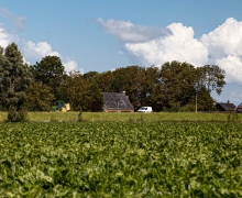 Brede welvaart in Noordwest Fryslân