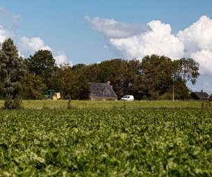 Regio Noordwest Fryslân: inwoners tevreden, maar economisch kwetsbaar