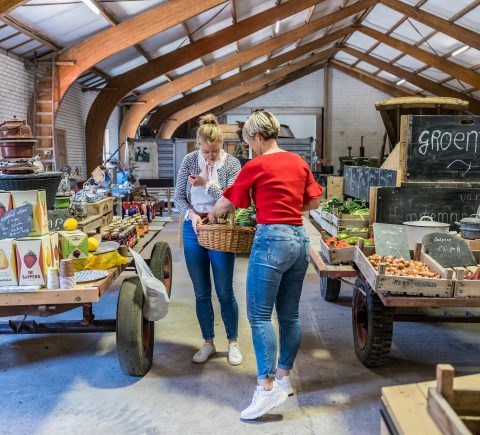 Friese brede welvaart: voorbij het gemeentelijk gemiddelde