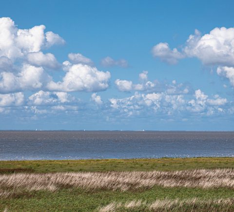 Lerende evaluatie Regio Deal de Waddeneilanden: eerste verdiepend onderzoek afgerond