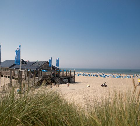 Essay: De Tent van Thorbecke
